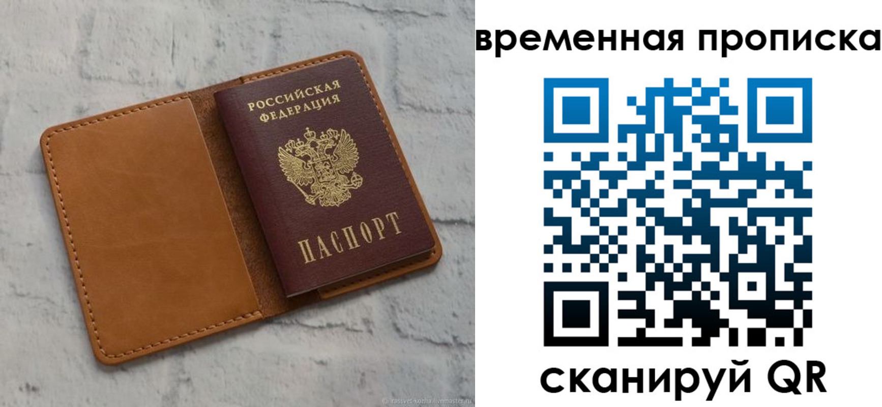 прописка поиск в Знаменске